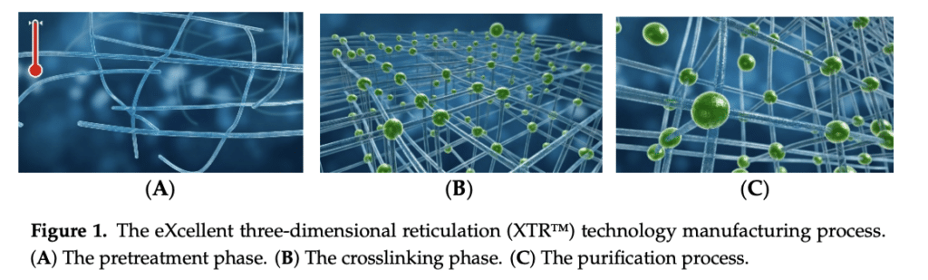 XTR technology