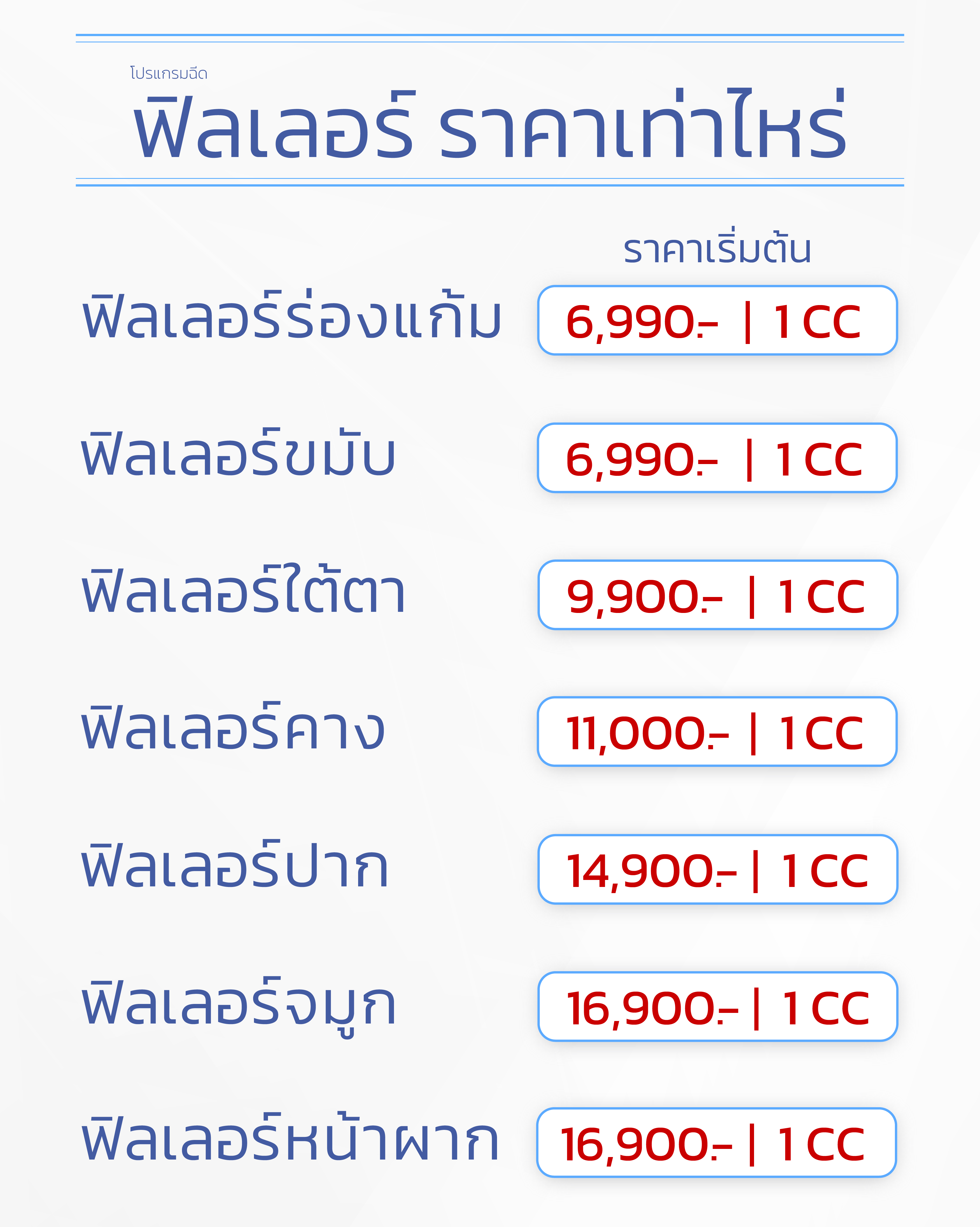 ฟิลเลอร์ราคาเท่าไหร่