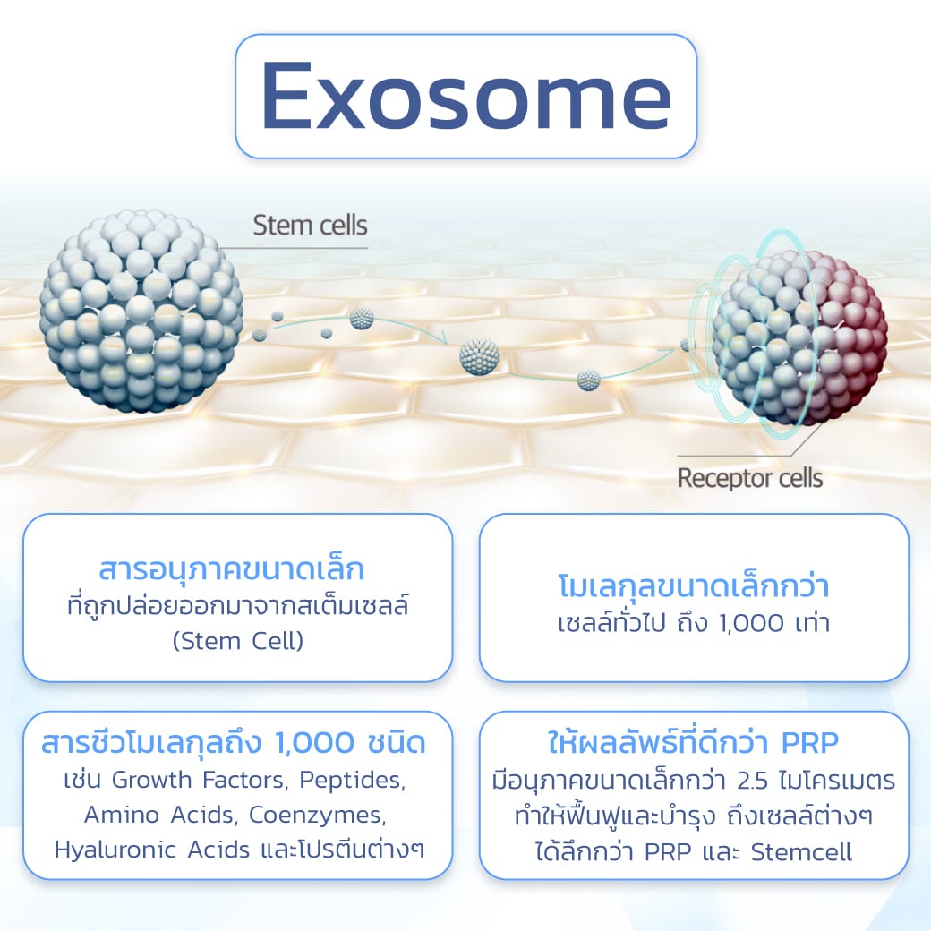 Exosome Skin Booster