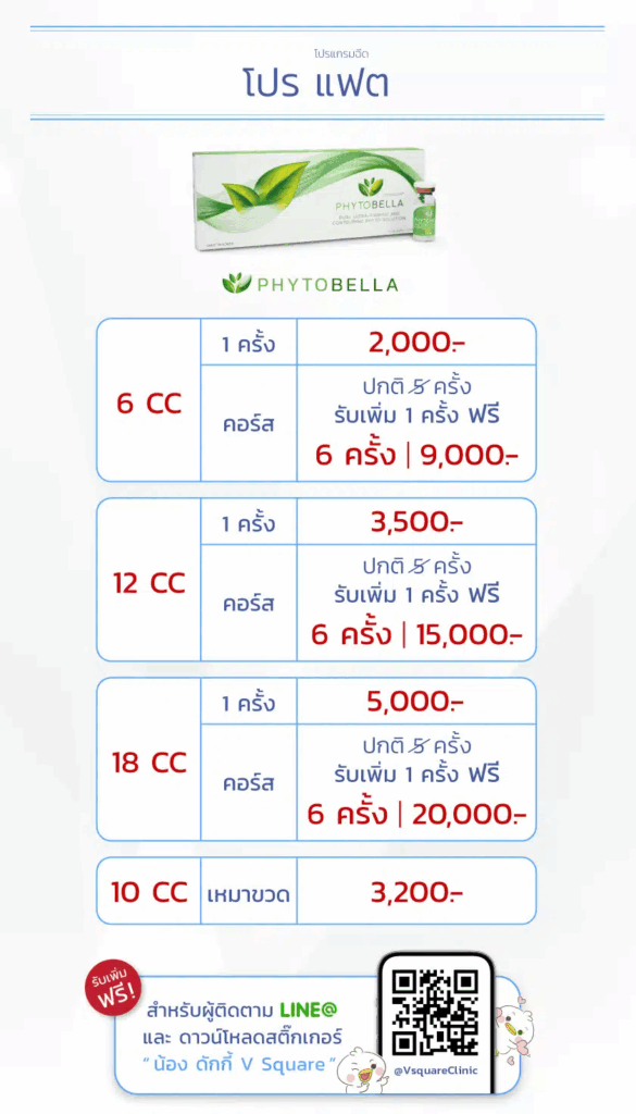 เมโสแฟตราคา