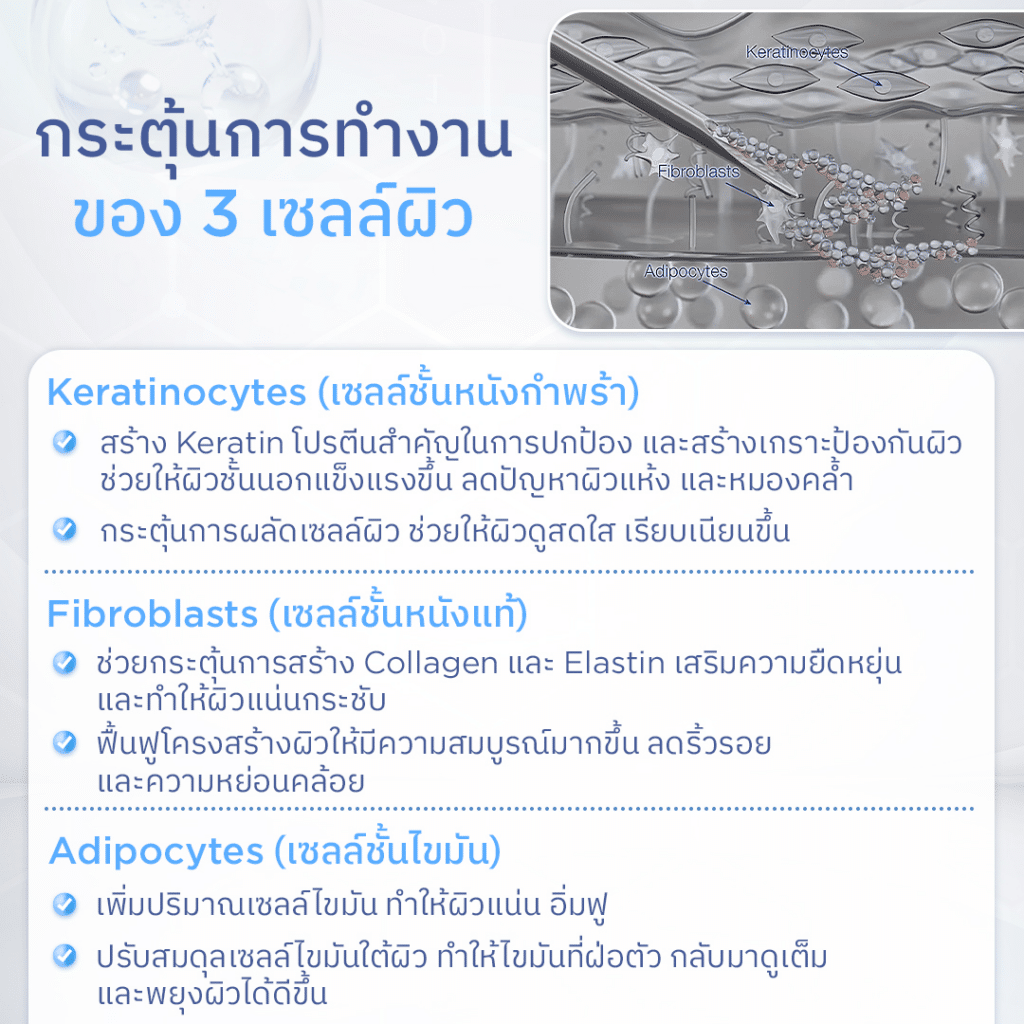 การทำงานของ Profhilo