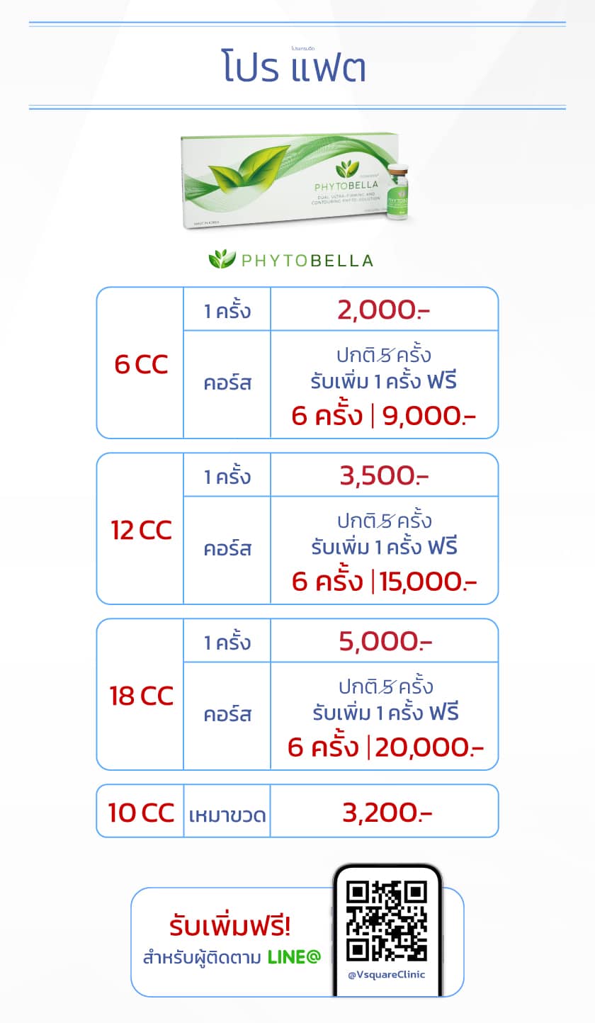 โปรโมชั่น เมโสแฟต