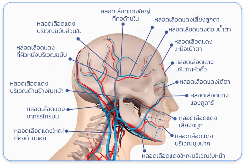 ฉีดฟิลเลอร์ขมับ อันตรายไหม