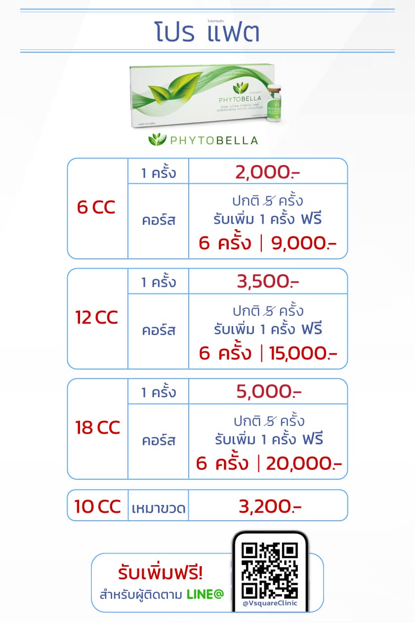 โปรโมชั่น เมโสแฟต