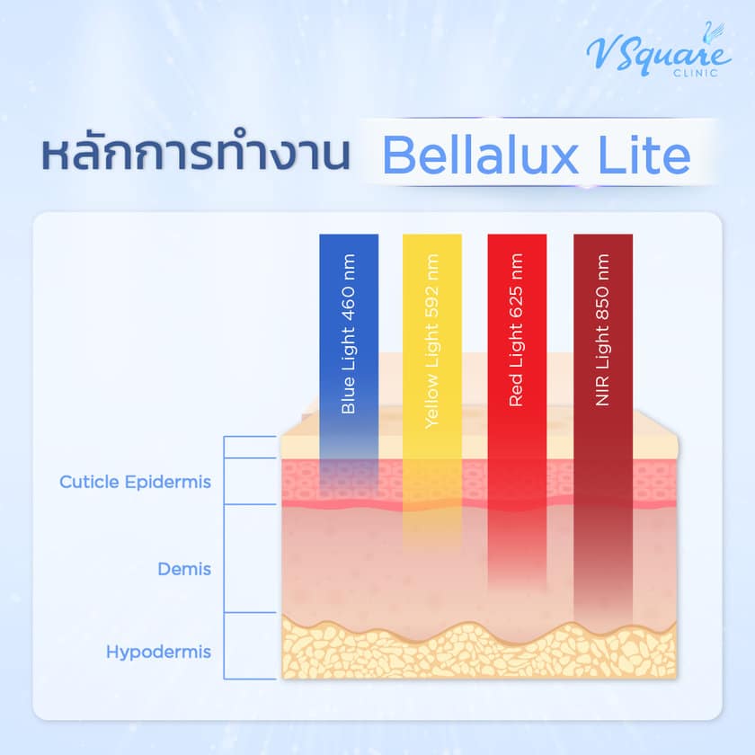 คลื่นแสงแต่ละสี