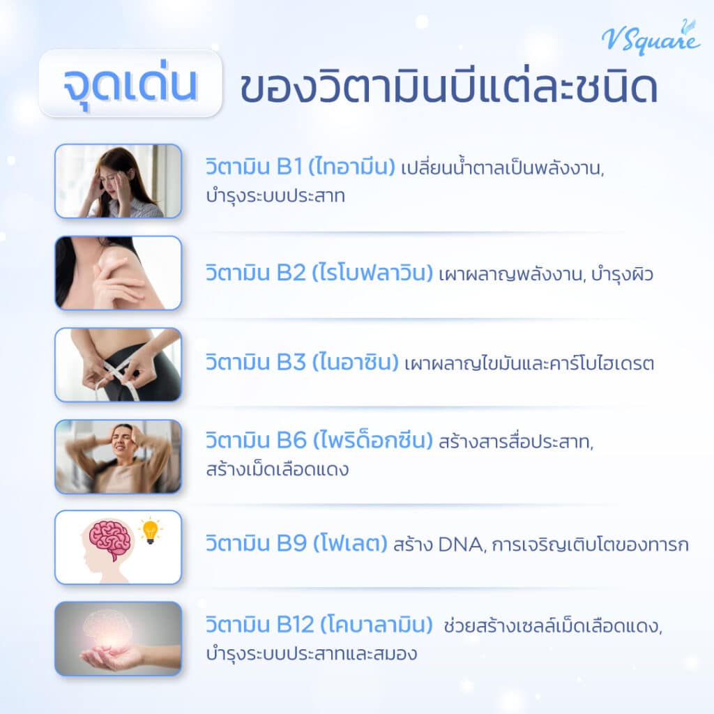 จุดเด่นของวิตามินบี