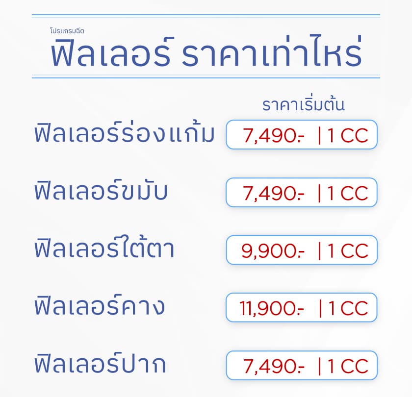 ฟิลเลอร์ราคาเท่าไหร่