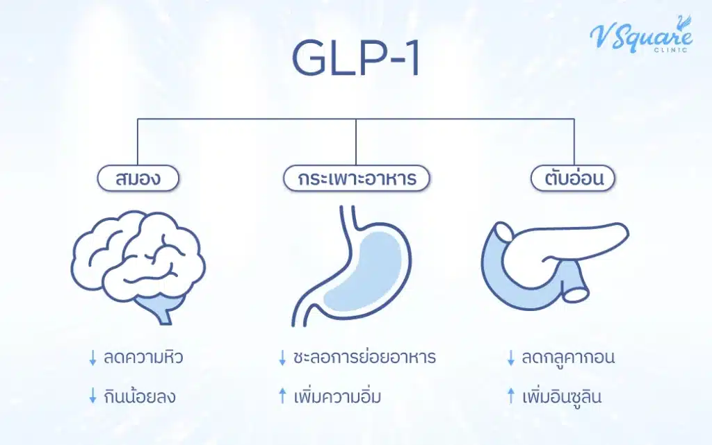 กลไก Wegovy