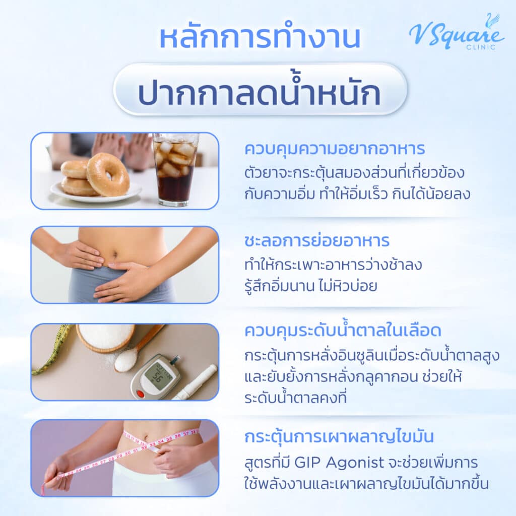 กลไกการทำงานของปากกาลดน้ำหนัก